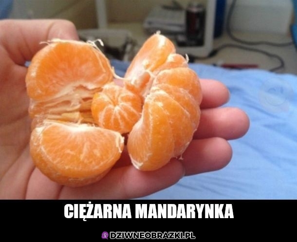 Ciężarna