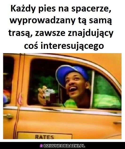 Ten moment Ten moment