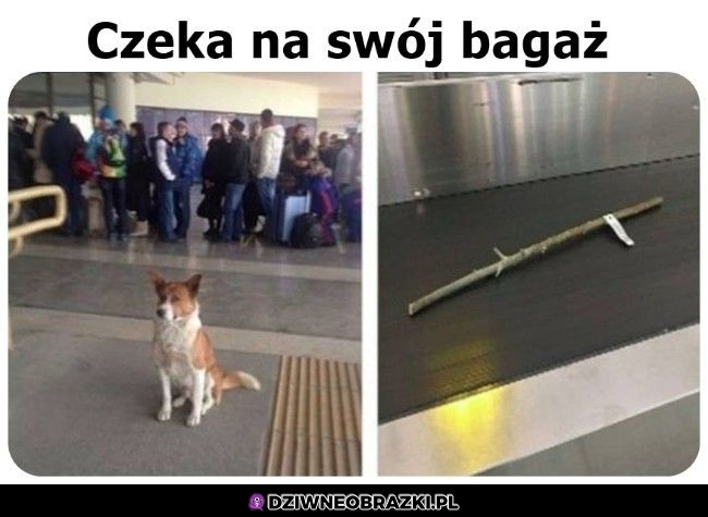 Ważna przesyłka