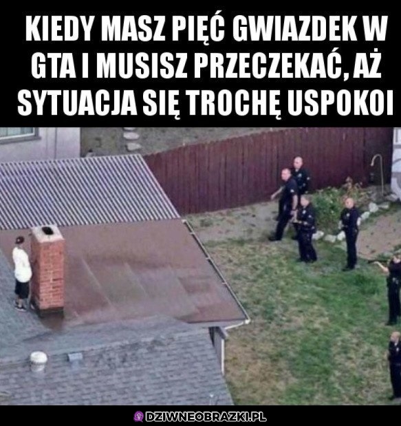 Zaraz sobie pójdą