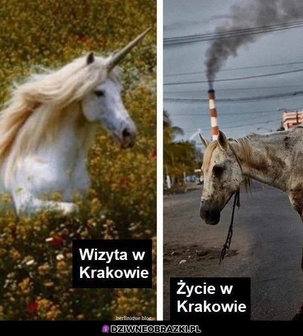 Tak to właśnie wygląda