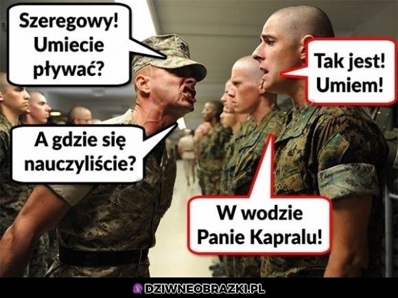 Umiejętność pływania
