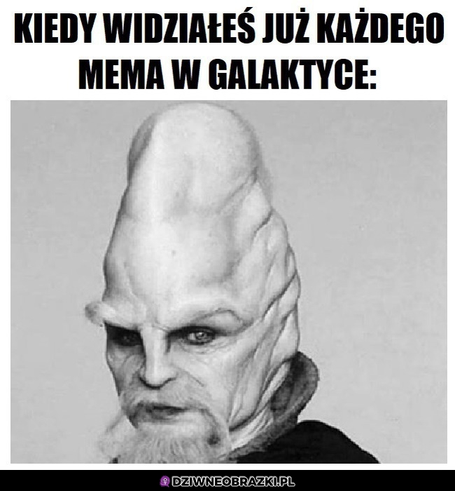 Widział wszystko