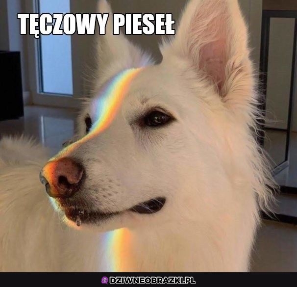 Majestatyczny