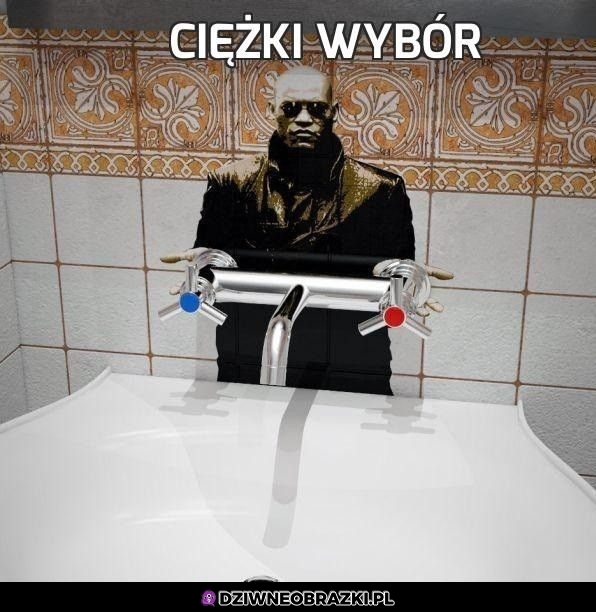 Wybór