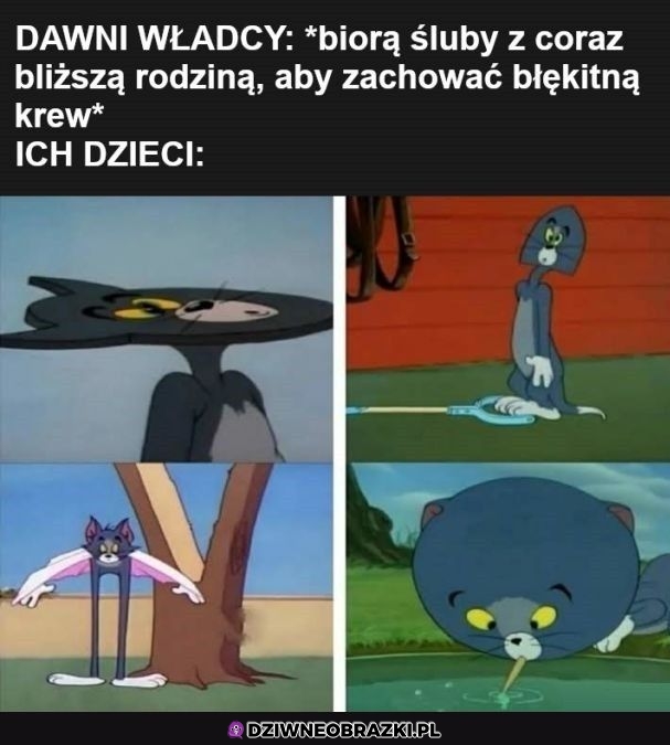 Habsburgowie patrzę na was