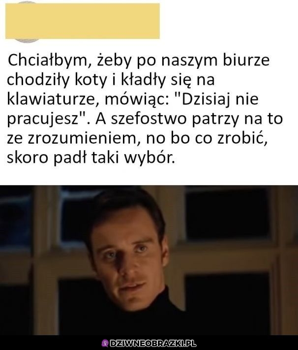 Byłoby spoko