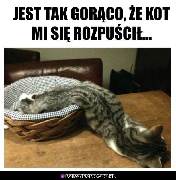 Gorąco jest