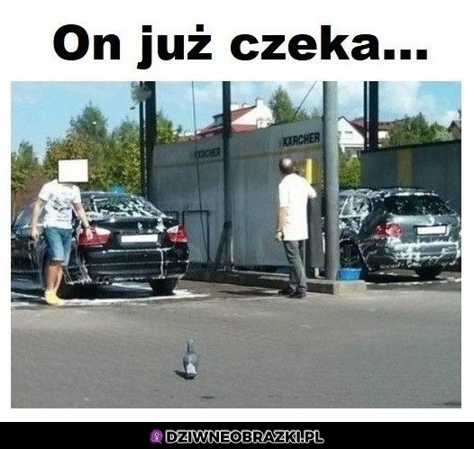 Czai się