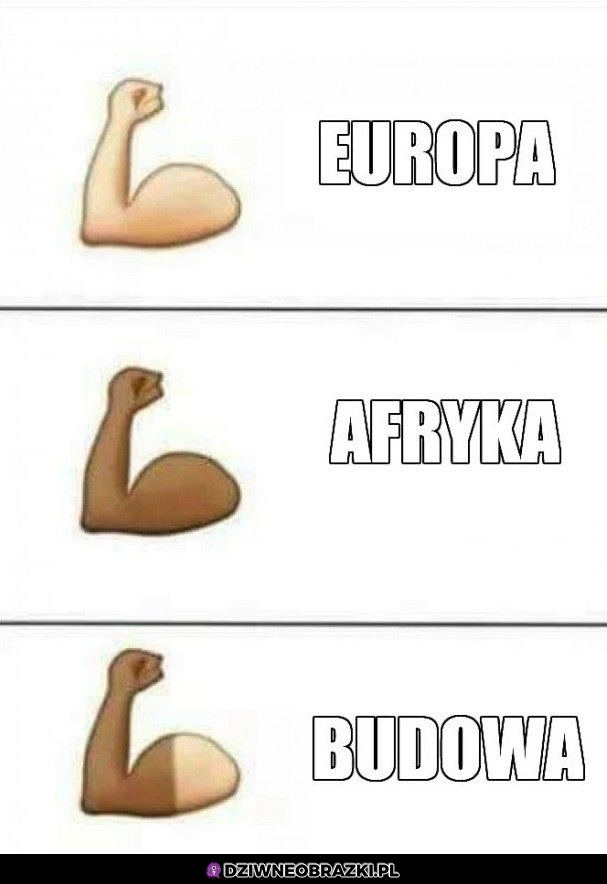 Kolory