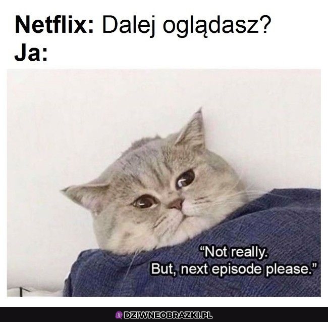 W sumie to nie, ale dawaj dalej