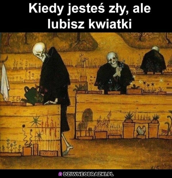 Ten moment Ten moment