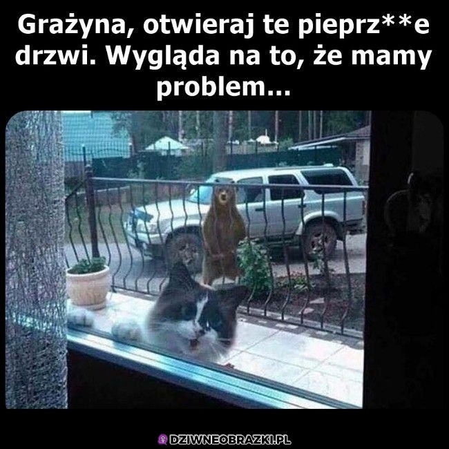 Otwieraj
