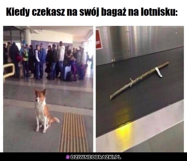 Cenna przesyłka