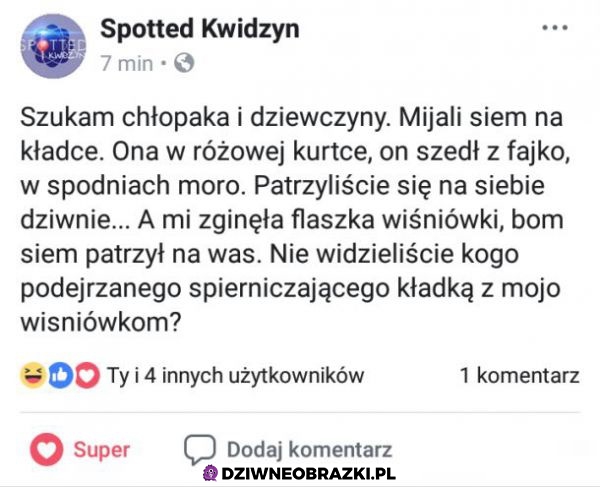 Czy ktoś ich widział?!