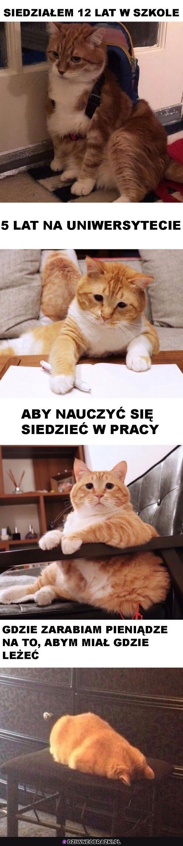 Tak jak my wszyscy