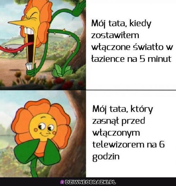 Ojej