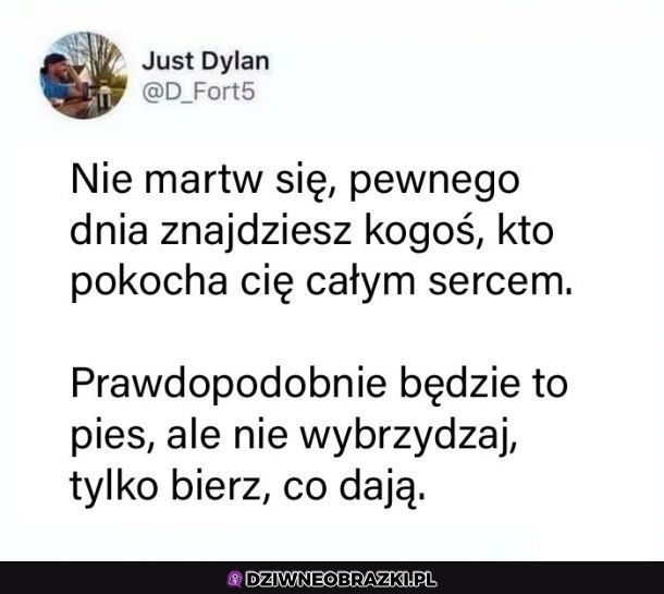 Zawsze coś