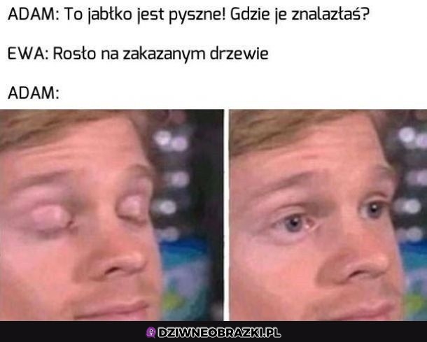 Gdzie?