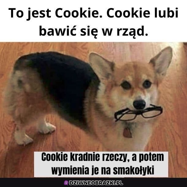 Tak to działa