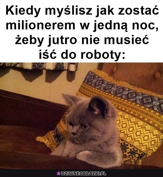 To ja co wieczór