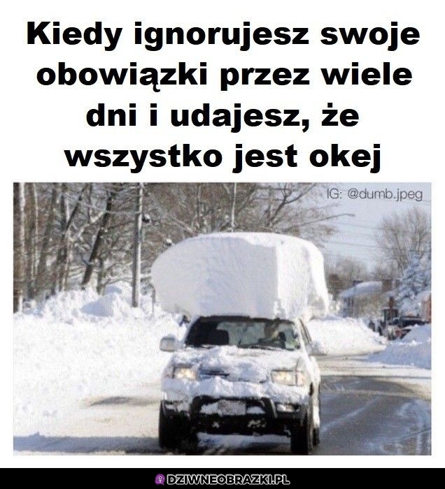 Tak to wygląda