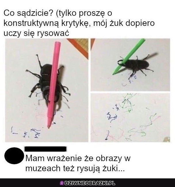Żuczek artysta