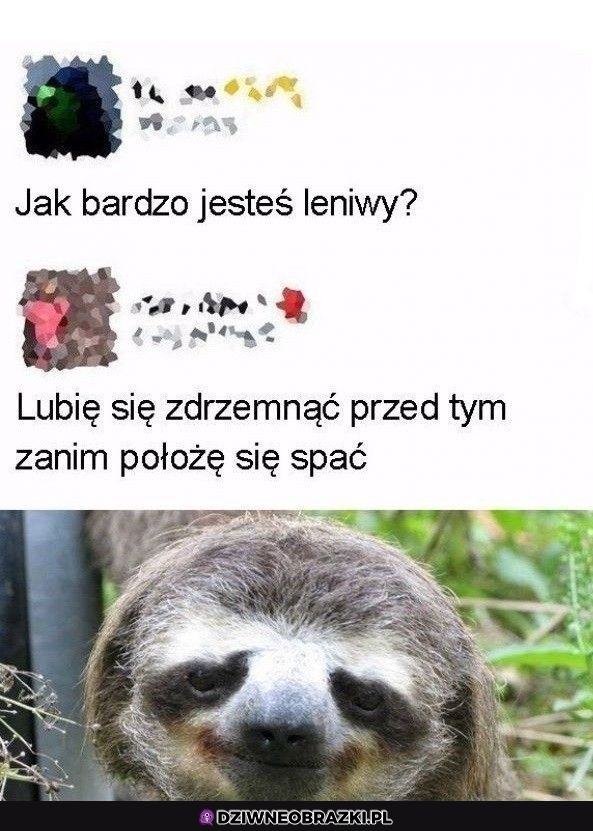 Lenistwo