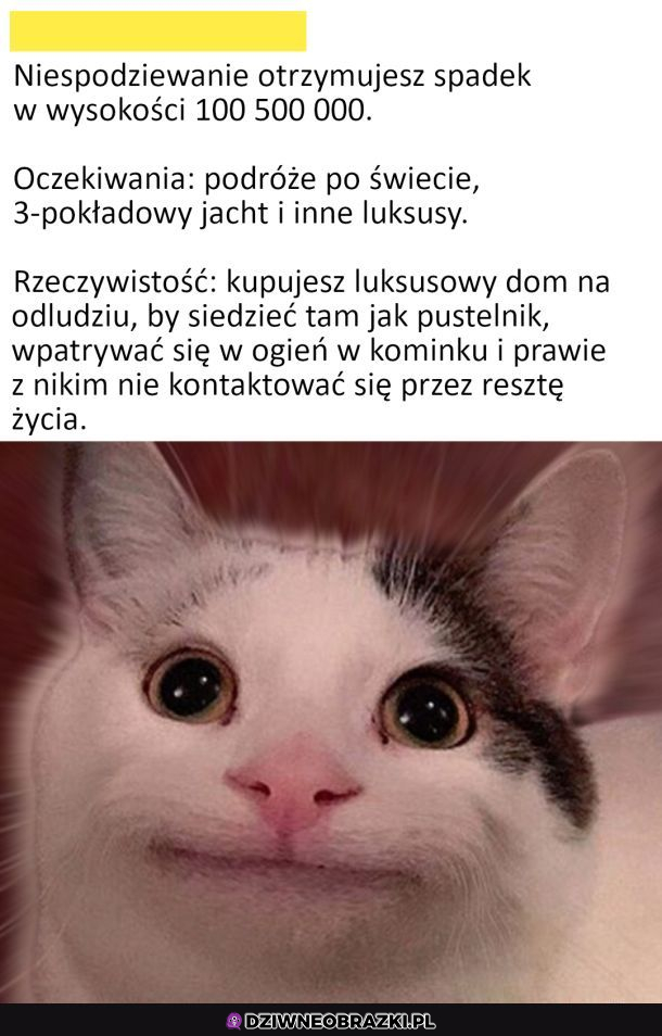 oczekiwania vs rzeczywistość