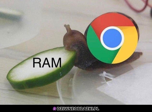 Chrome żarłoczek Chrome żarłoczek