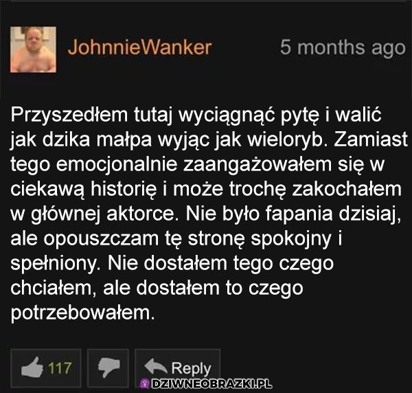 Genialny komentarz na stronie porno