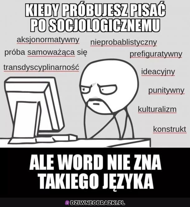 Socjologicznie