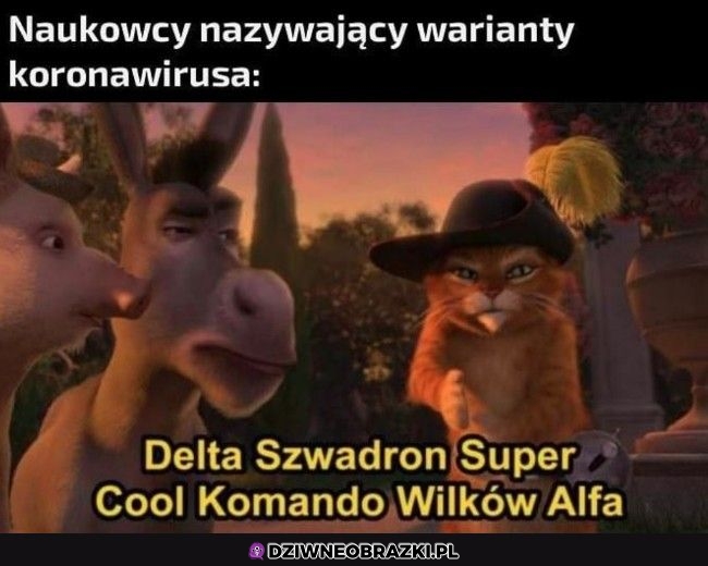 Tak ich widzę