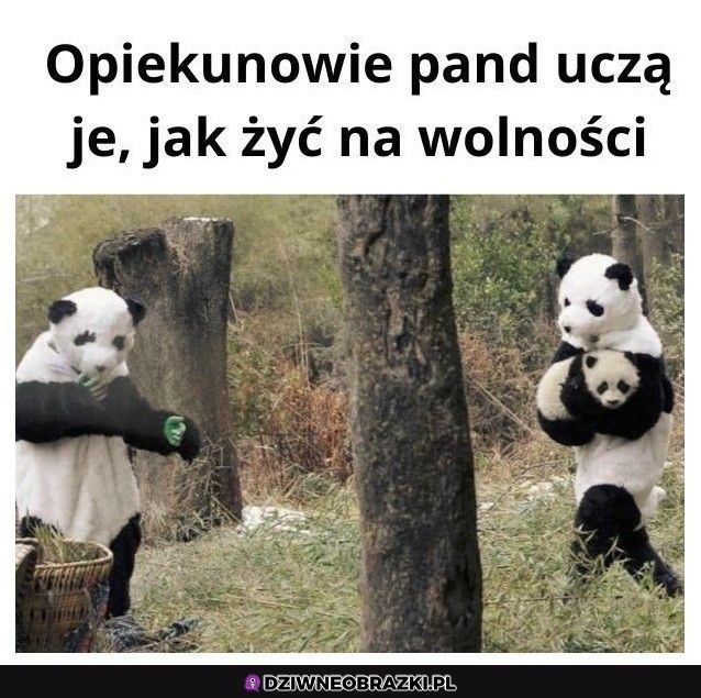No i fajnie