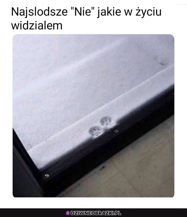 Nope, nie dzisiaj