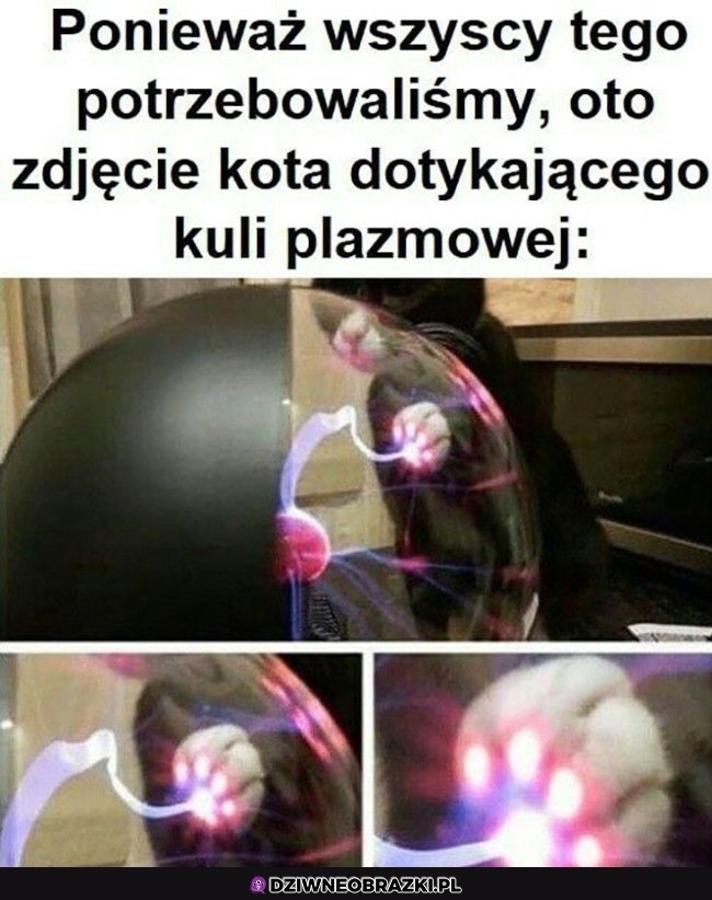 To było nam potrzebne