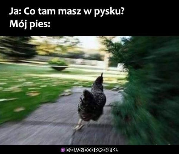Ten moment