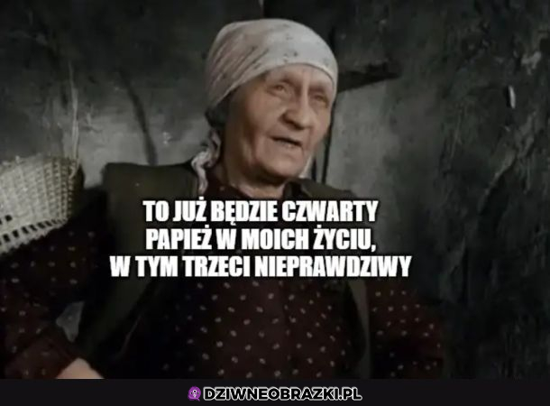 Coś w tym jest