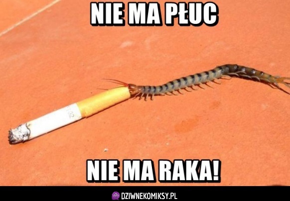 No i zajebiście