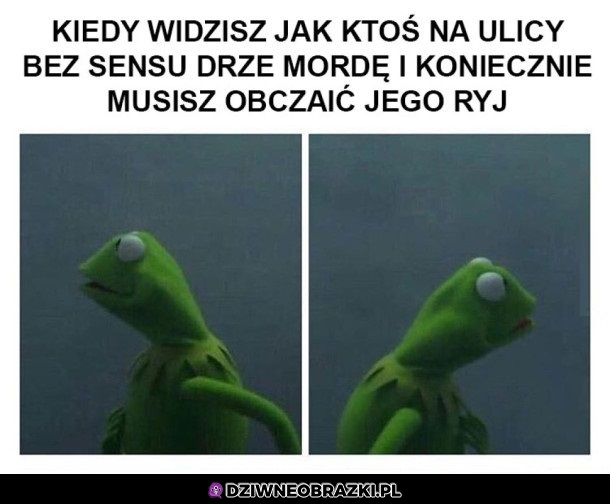 Który to?