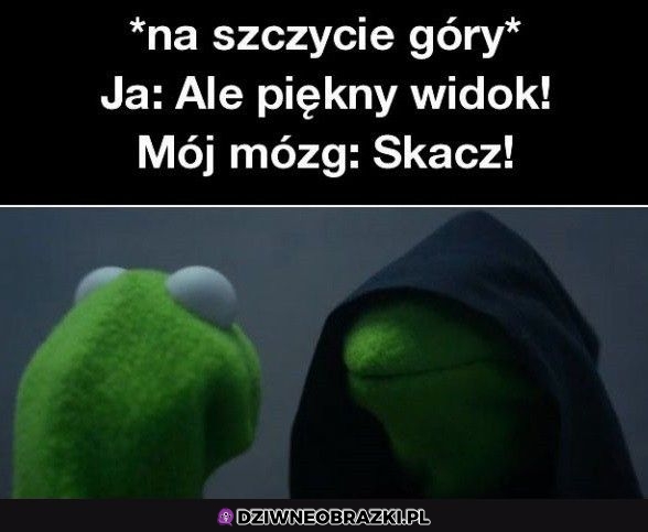 Zrób to