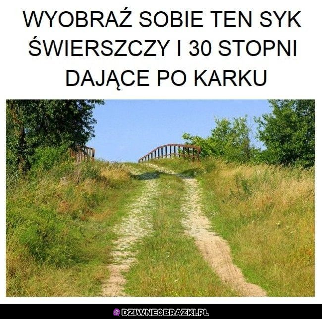 Wyobraź sobie to