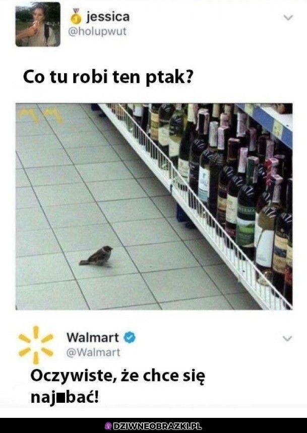 Ptaszek