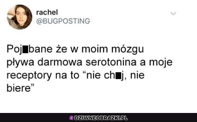 To prawda