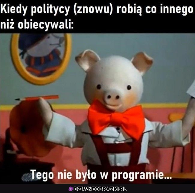 z życia polityka