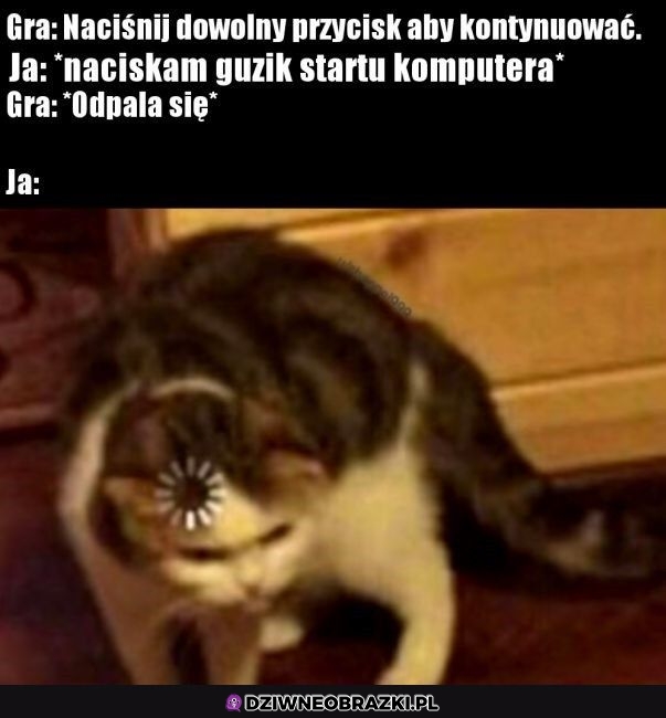 Chwila