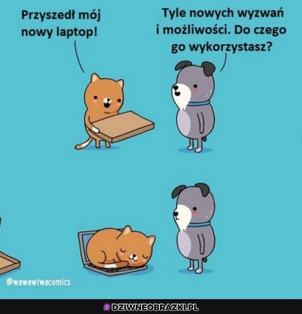 Wykorzystany
