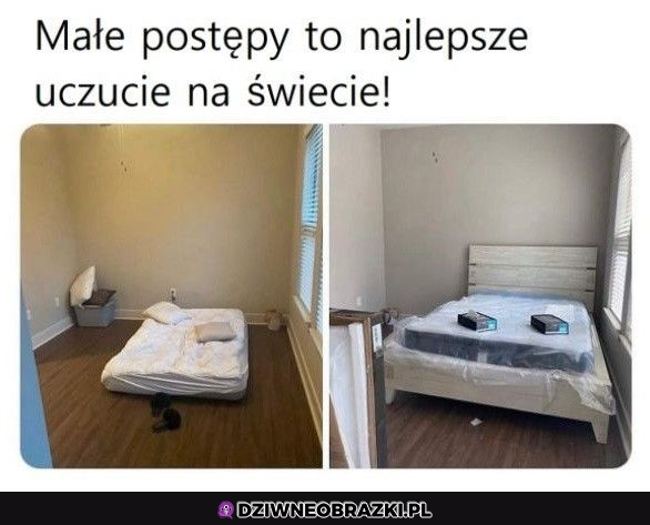 Dokładnie tak