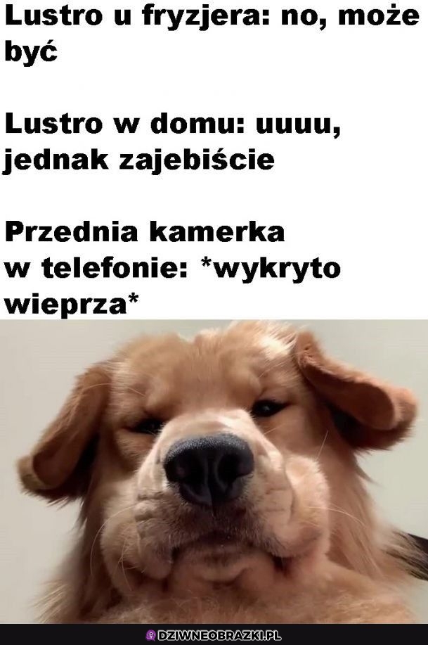 Zawsze to samo