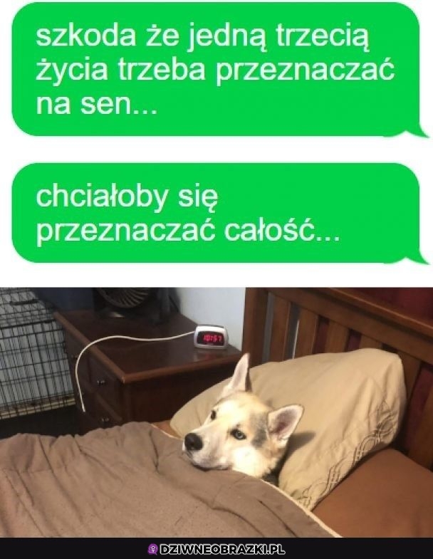 Oj chciałoby